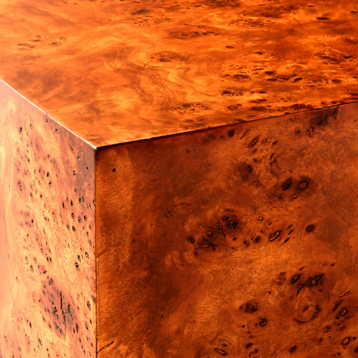 THE ONE × Scatola — Brown Burl Wood Coffee Table