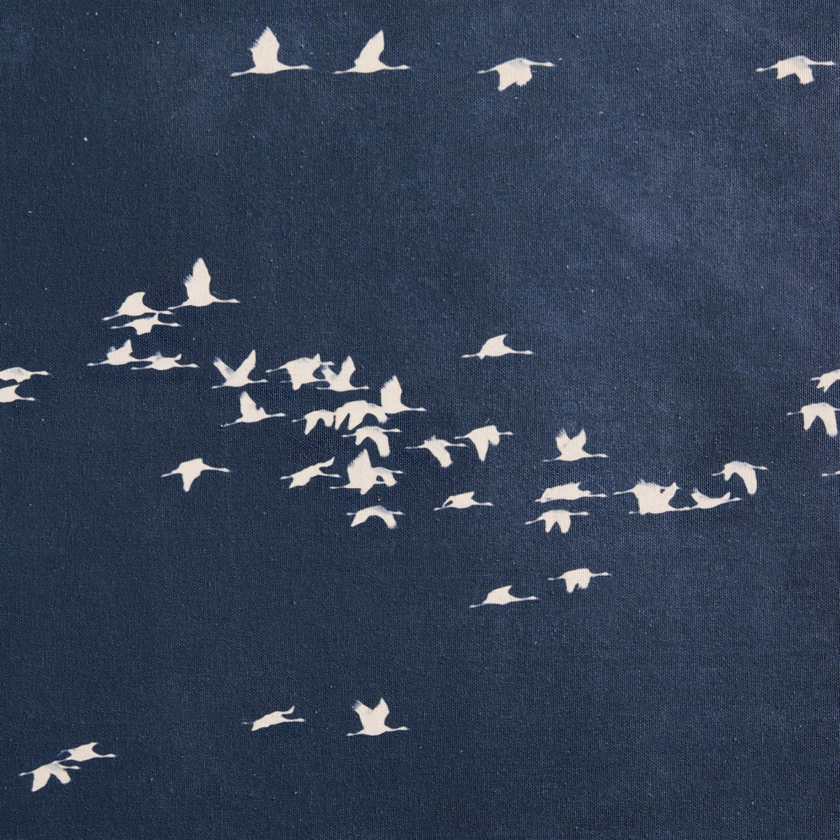 THE ONE × Heading South — Großes Leinwand-Wandbild (70"x47")