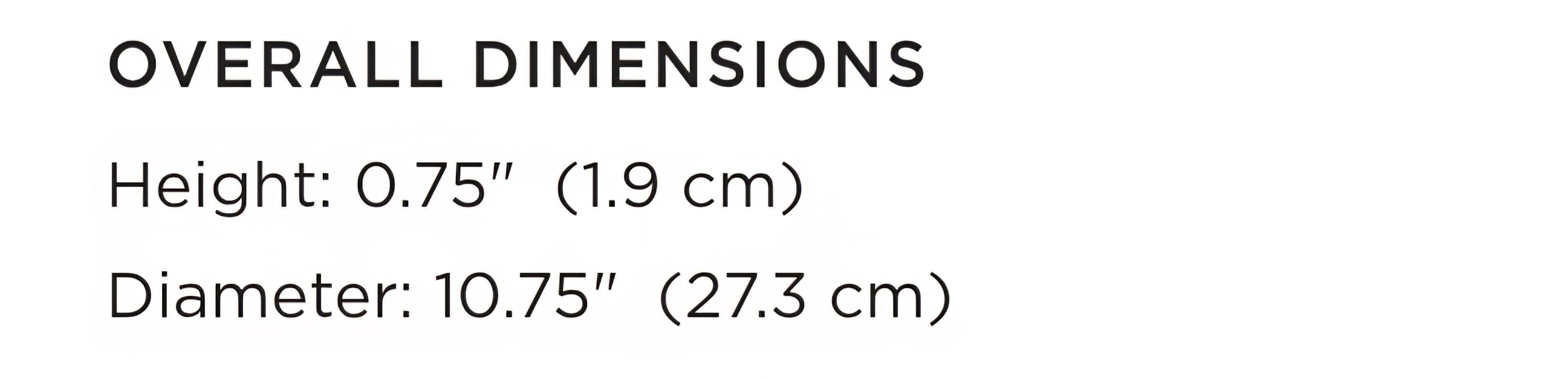 THE ONE × Contact — White Ceramic Dinner Plates with Black Rim