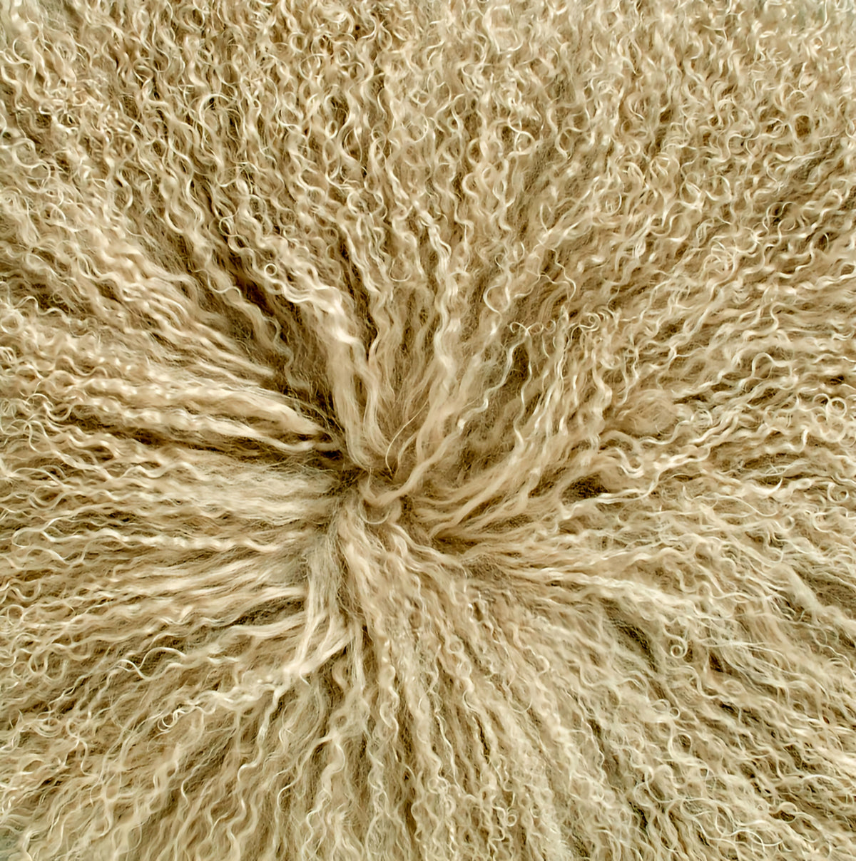 THE ONE × Socca — Sheepskin Upholstered Bench