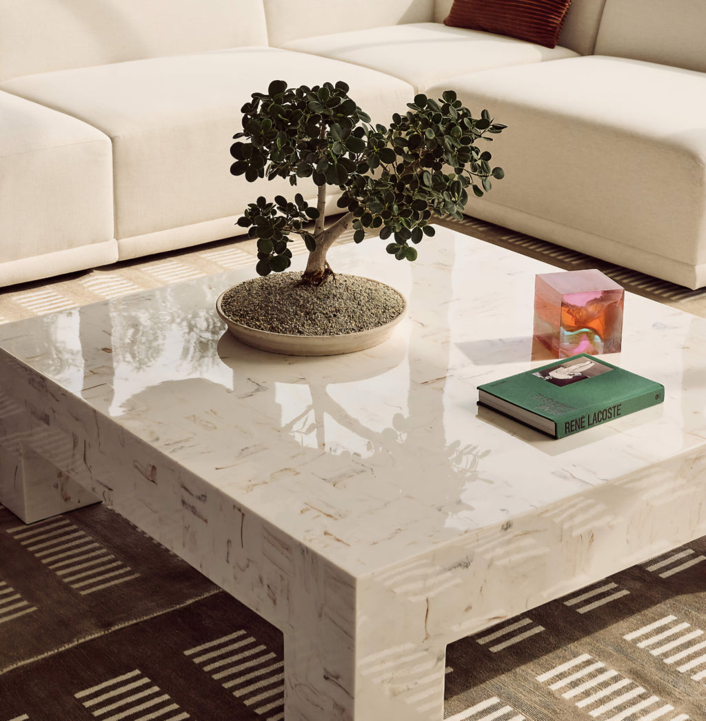 THE ONE × Scatola — Brown Burl Wood Coffee Table