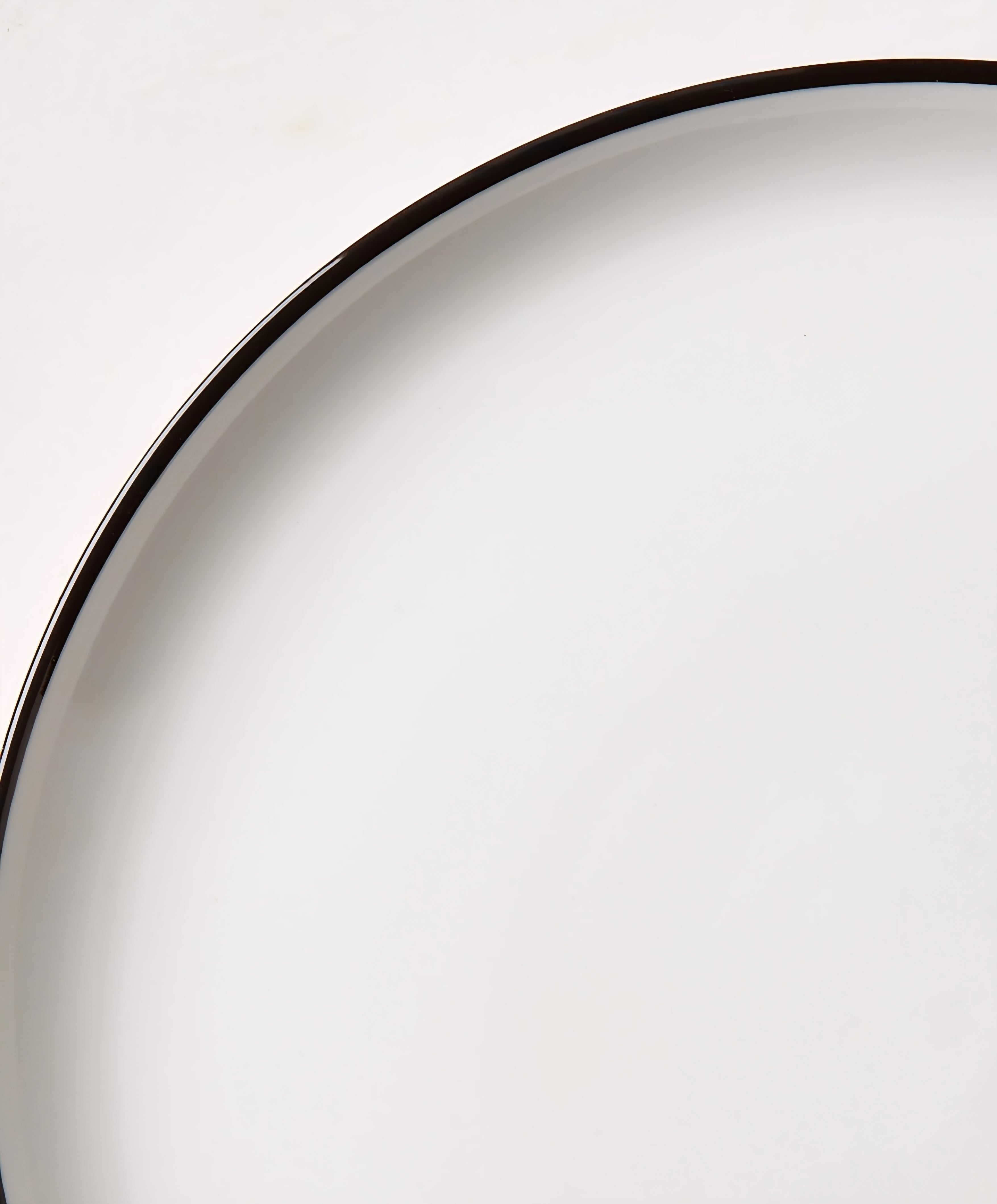 THE ONE × Contact — White Ceramic Dinner Plates with Black Rim