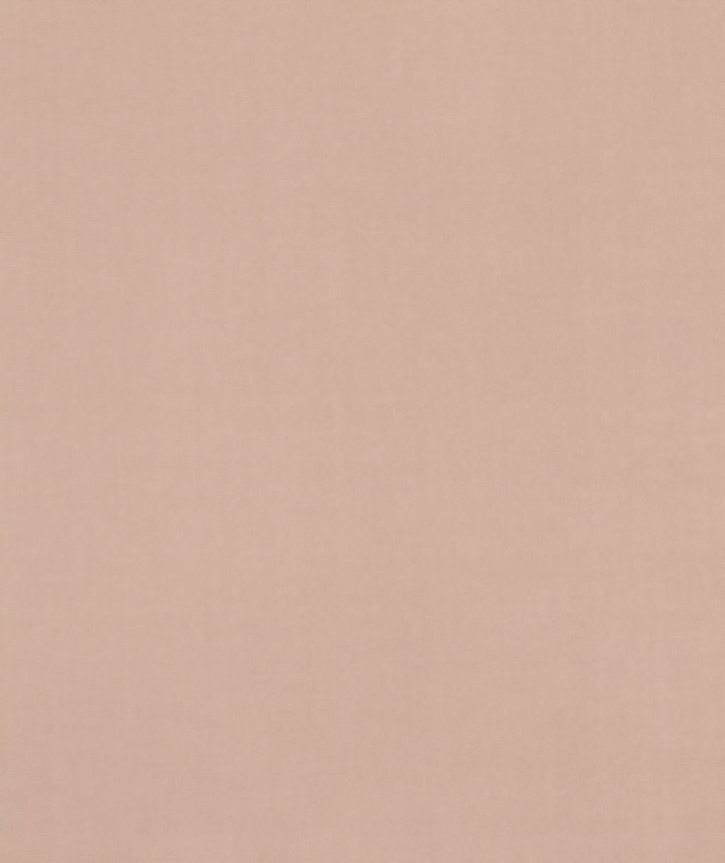 THE ONE × Ambroise — Light Taupe Velvet Sofa