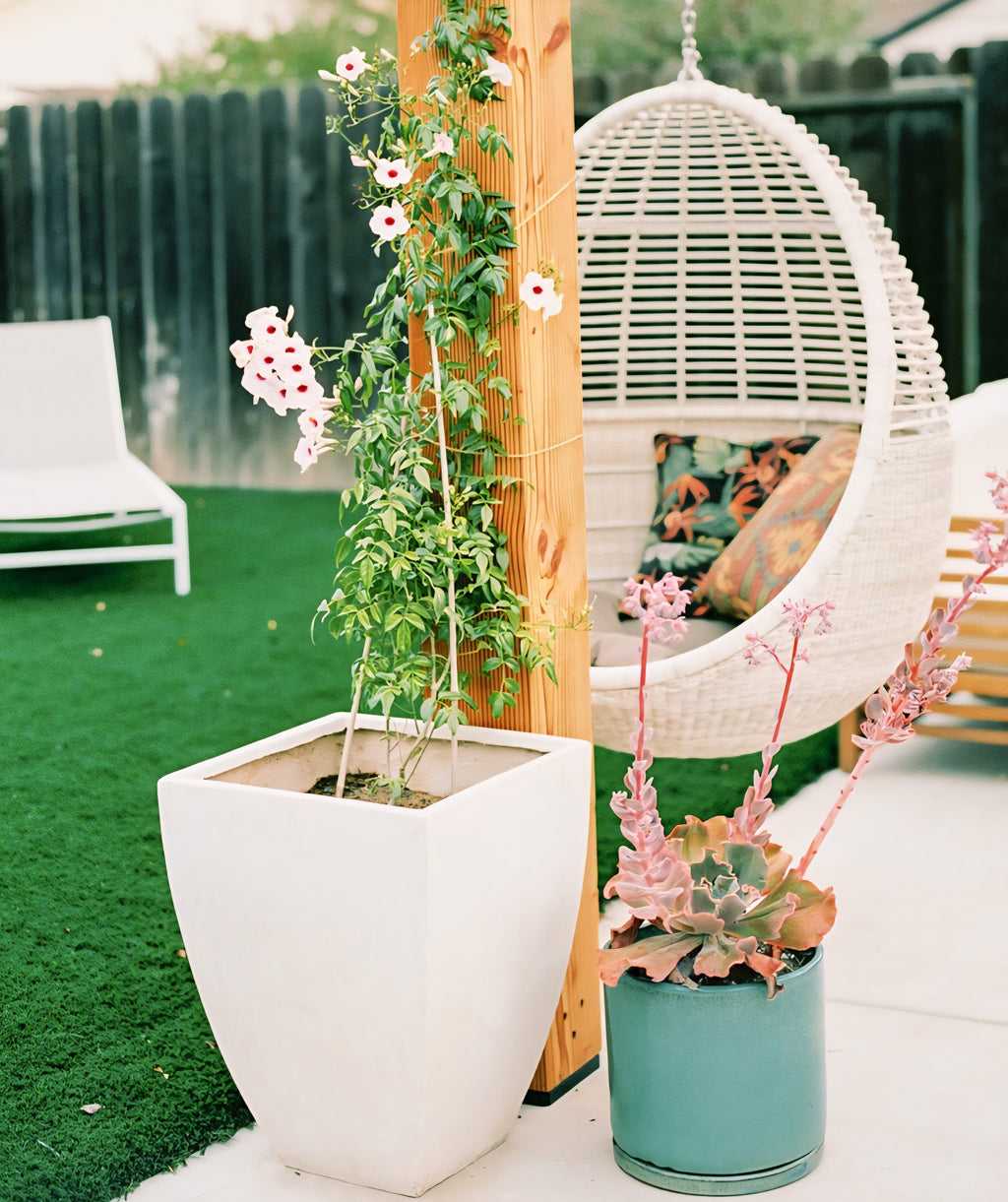 THE ONE × Pod — The Float Hanging Chair