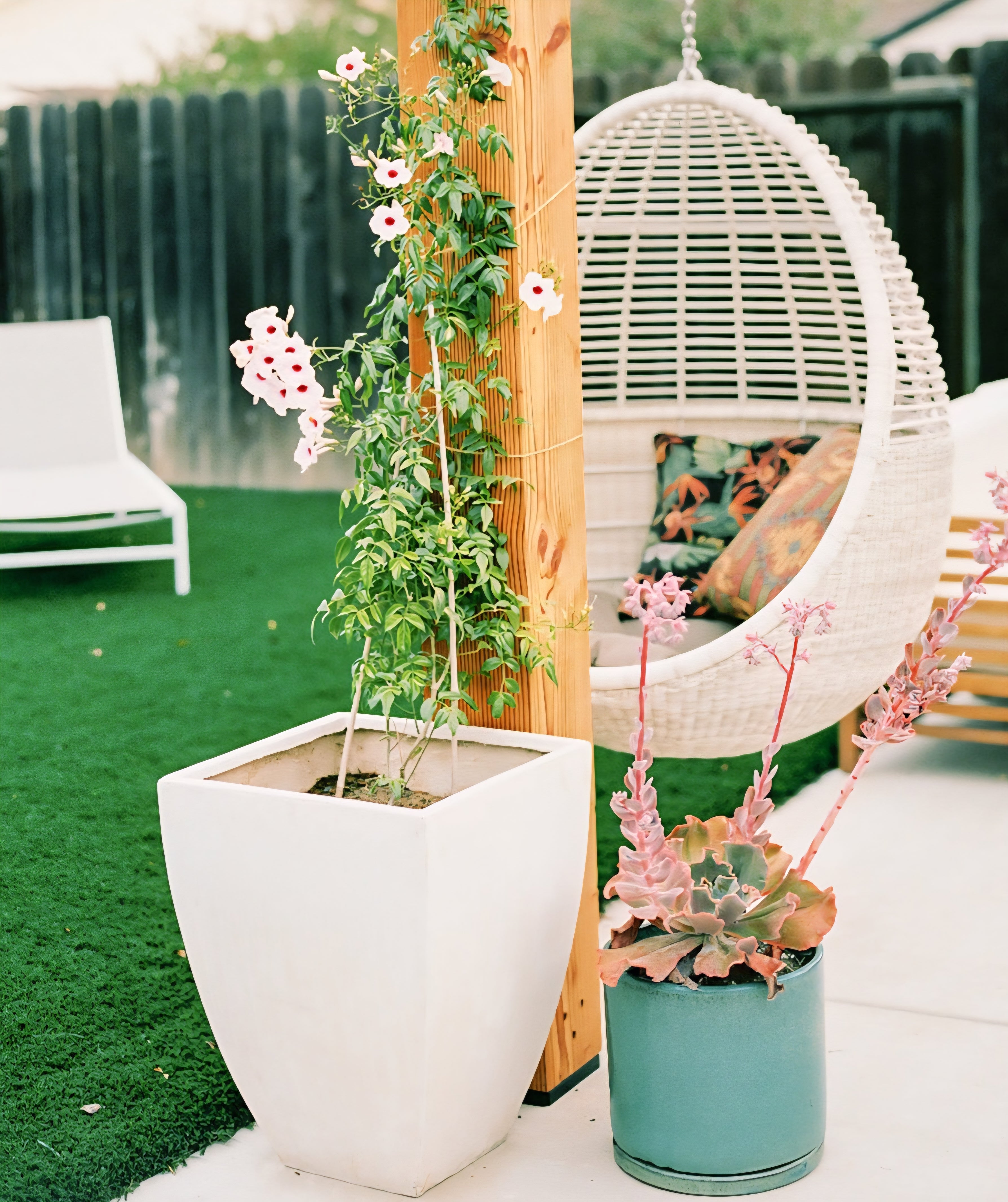 THE ONE × Pod — The Float Hanging Chair