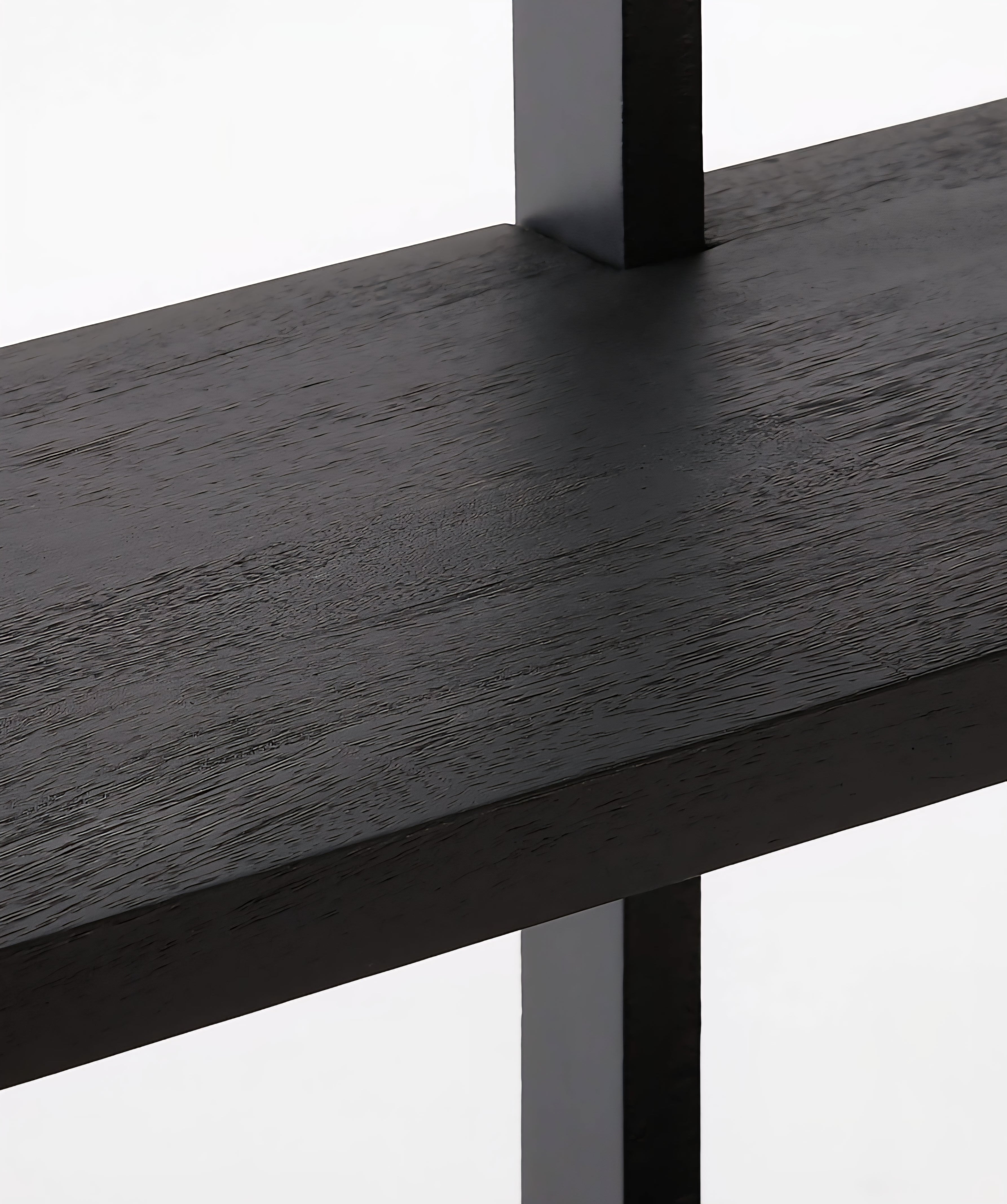 THE ONE × Azzurra — Black Metal and Wood Bookshelf