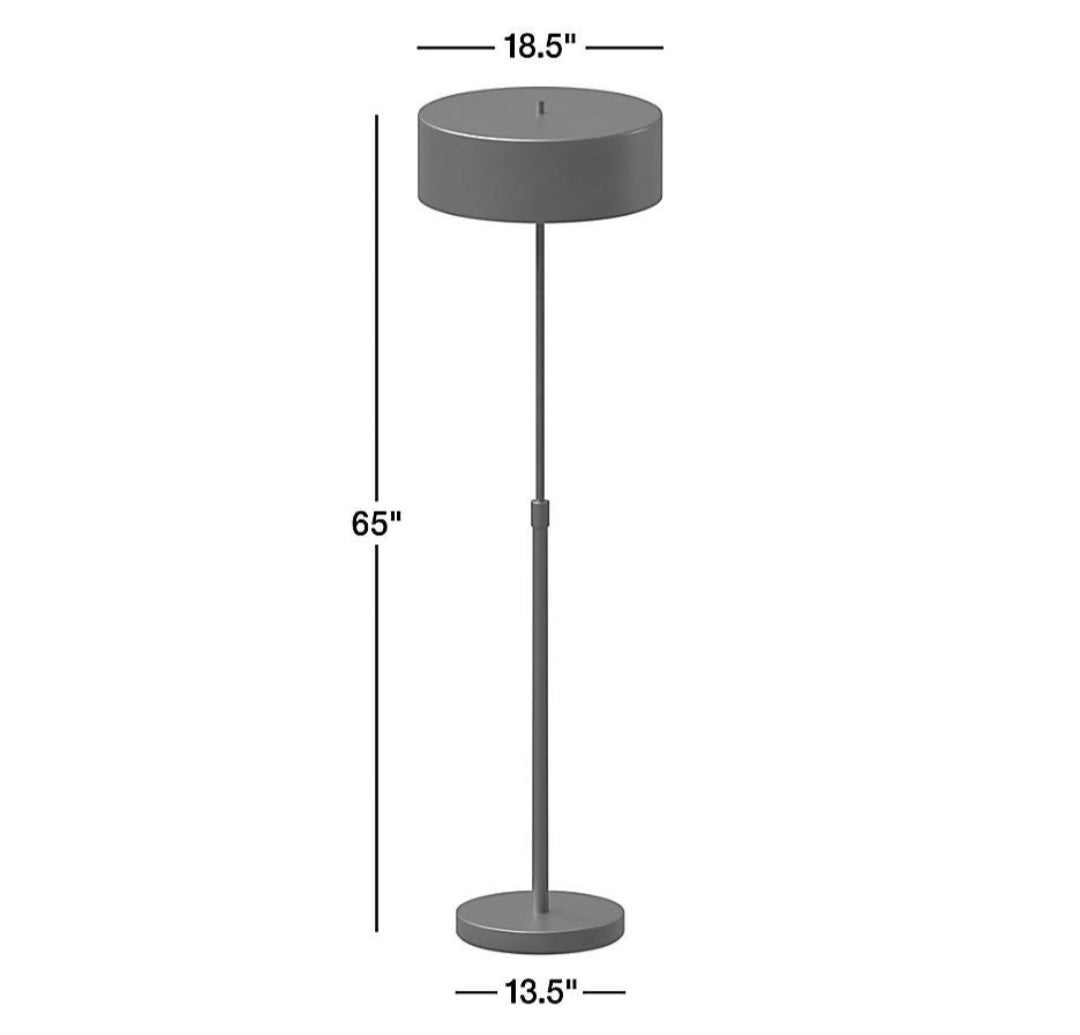 THE ONE × Zain — Brushed Brass Adjustable Floor Lamp (65")