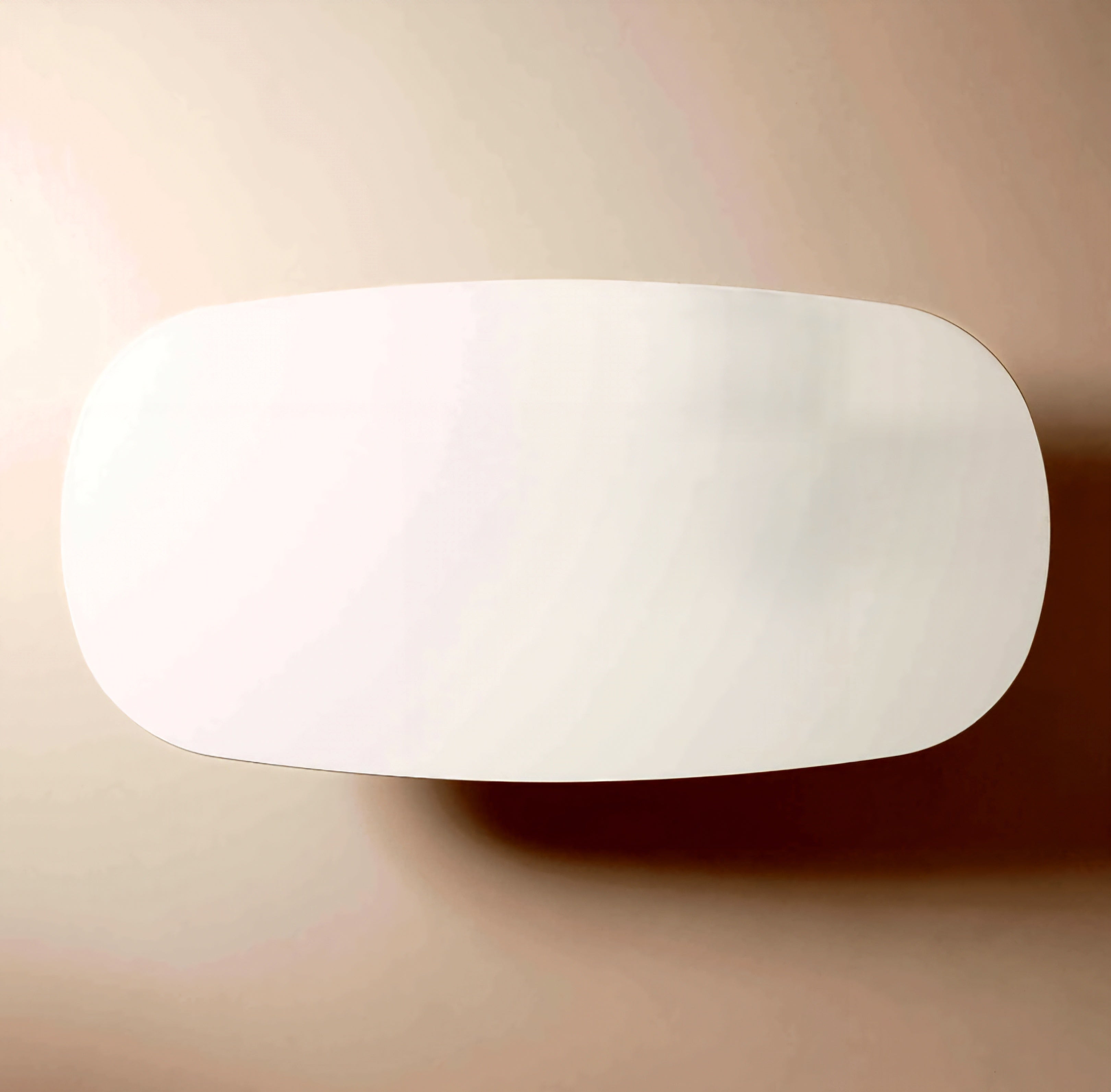 THE ONE × Tauro — Oval Lacquered Dining Table