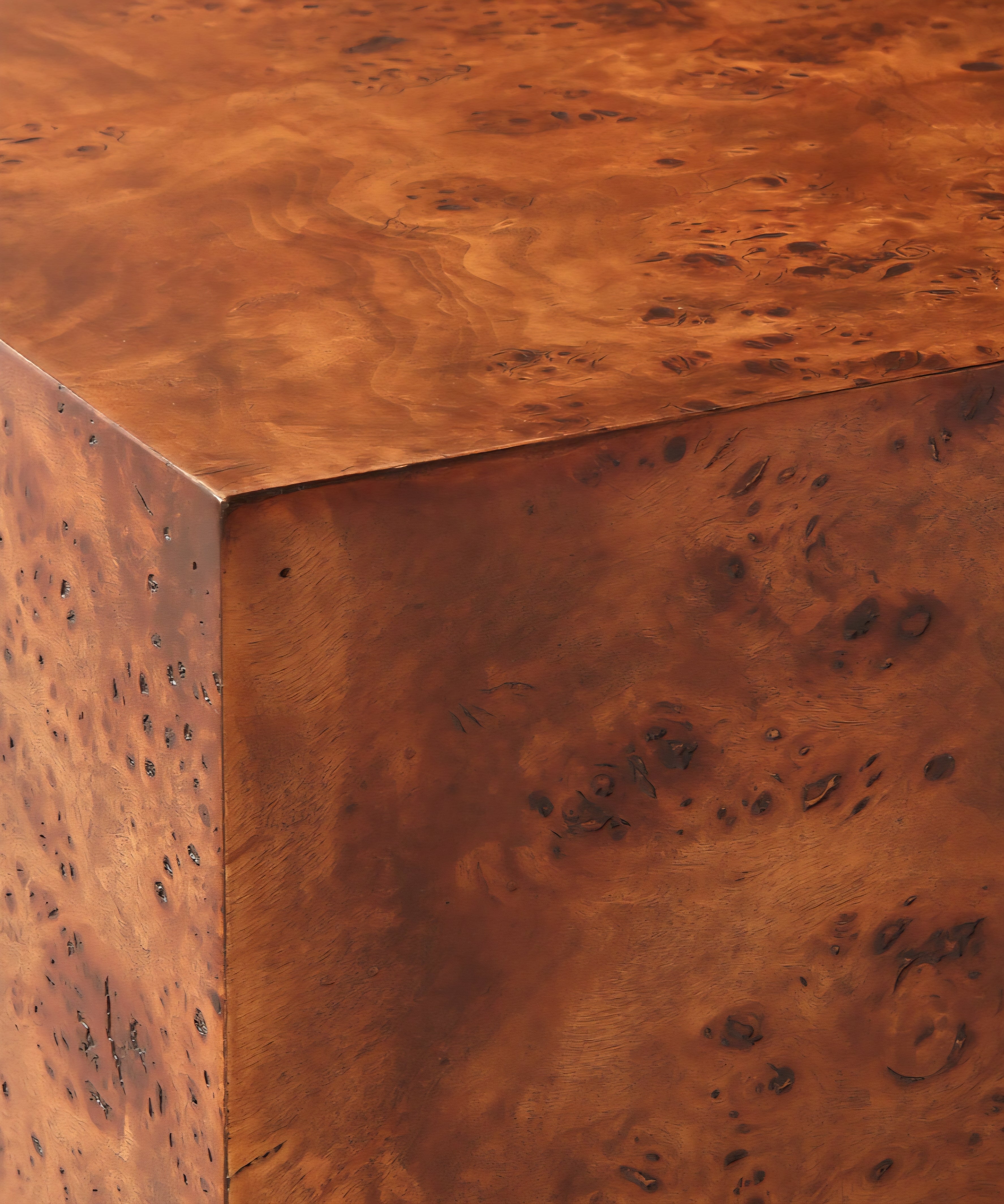 THE ONE × Scatola — Brown Burl Wood Coffee Table