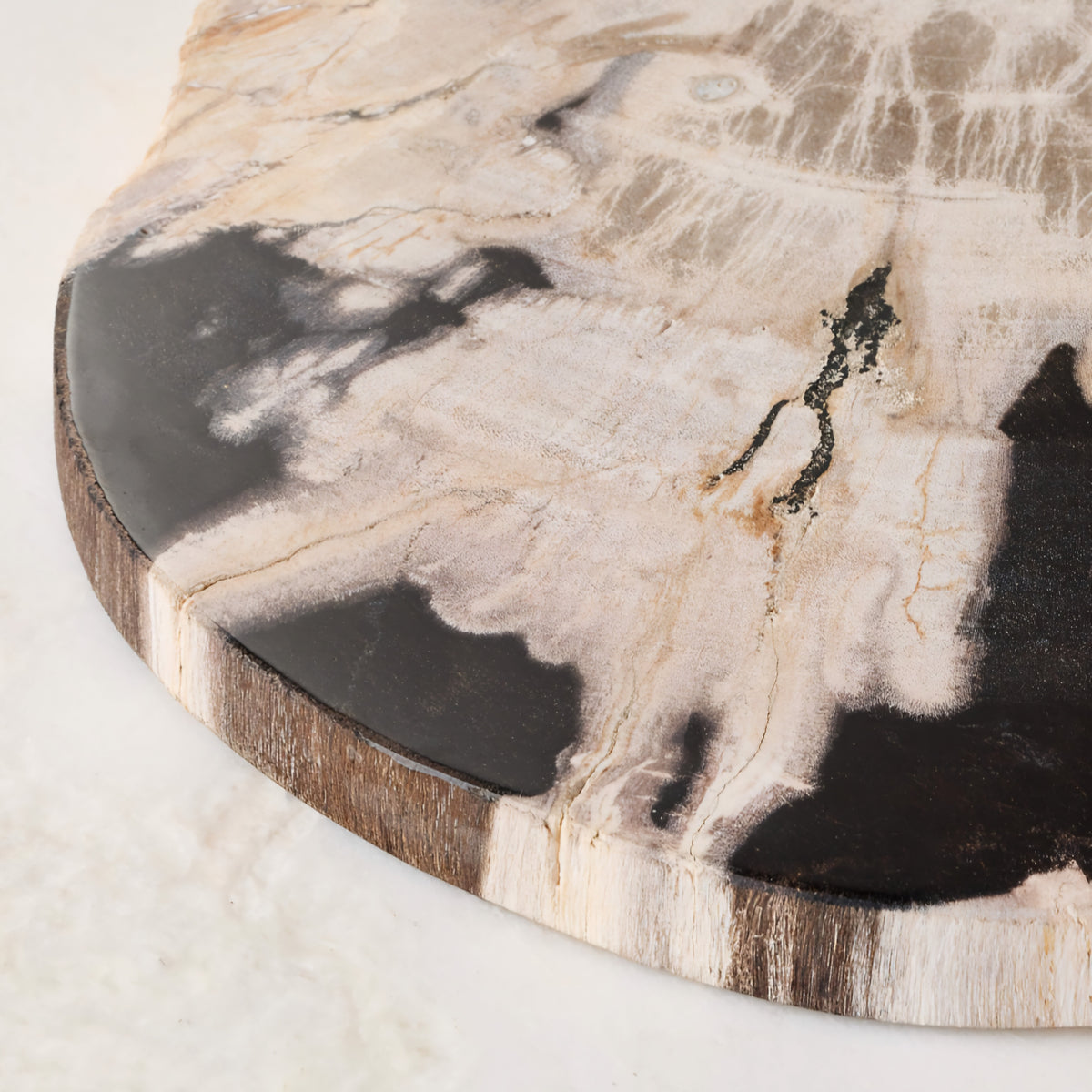 THE ONE × Ring — Petrified Wood Serving Board