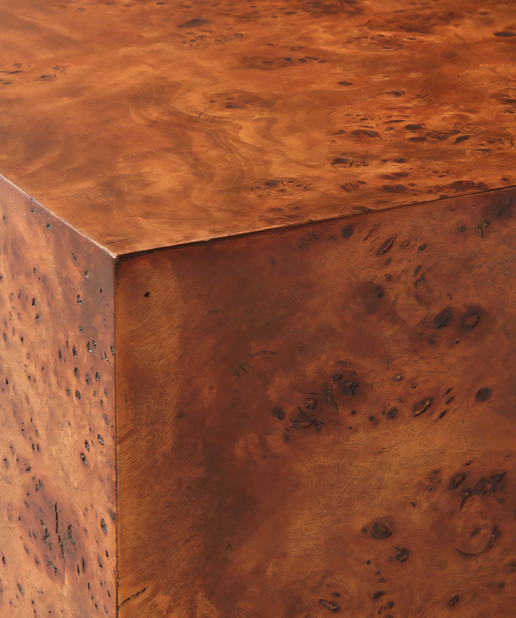 THE ONE × Scatola — Brown Burl Wood Coffee Table