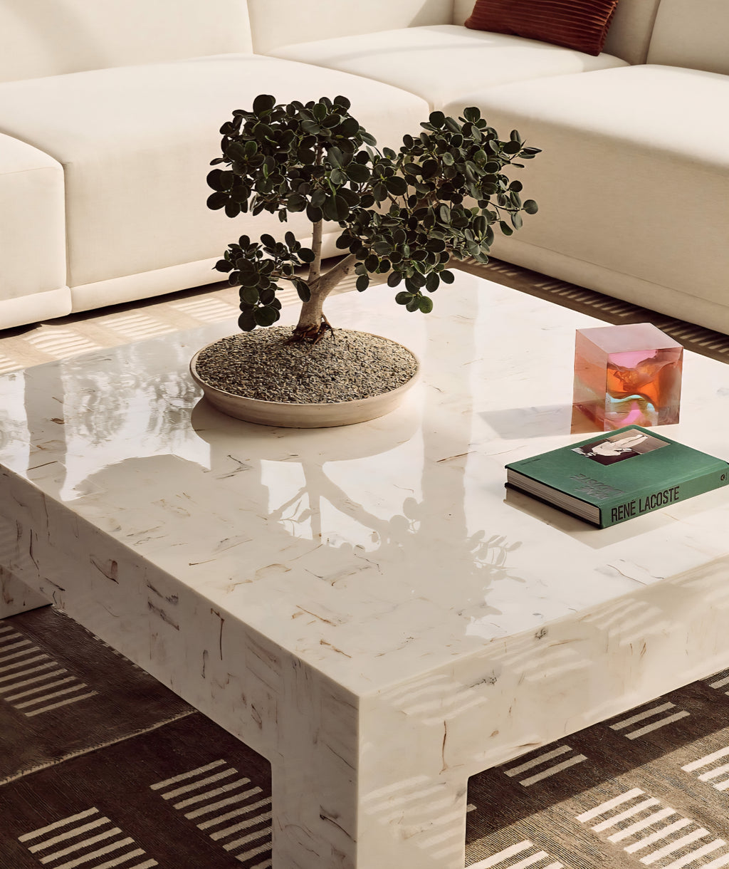 THE ONE × Scatola — Brown Burl Wood Coffee Table