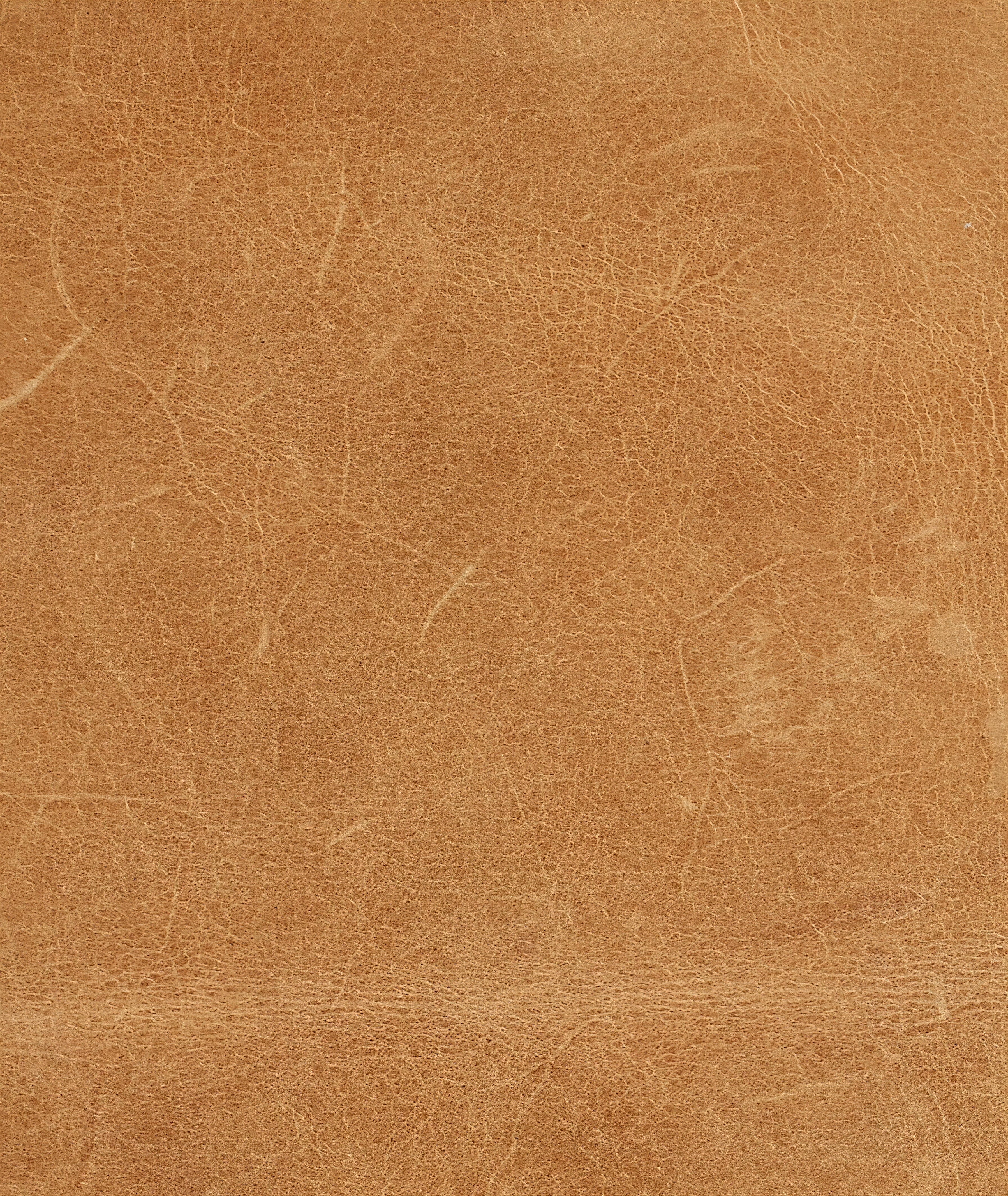 THE ONE × Serafin — Brown Leather Daybed